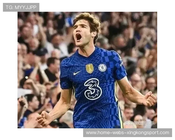 切尔西青春崛起 切尔西青春崛起