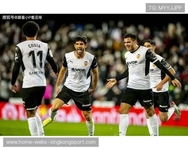 瓦伦西亚加码数据分析,开启智能决策新时代 瓦伦西亚加码数据分析,开启智能决策新时代